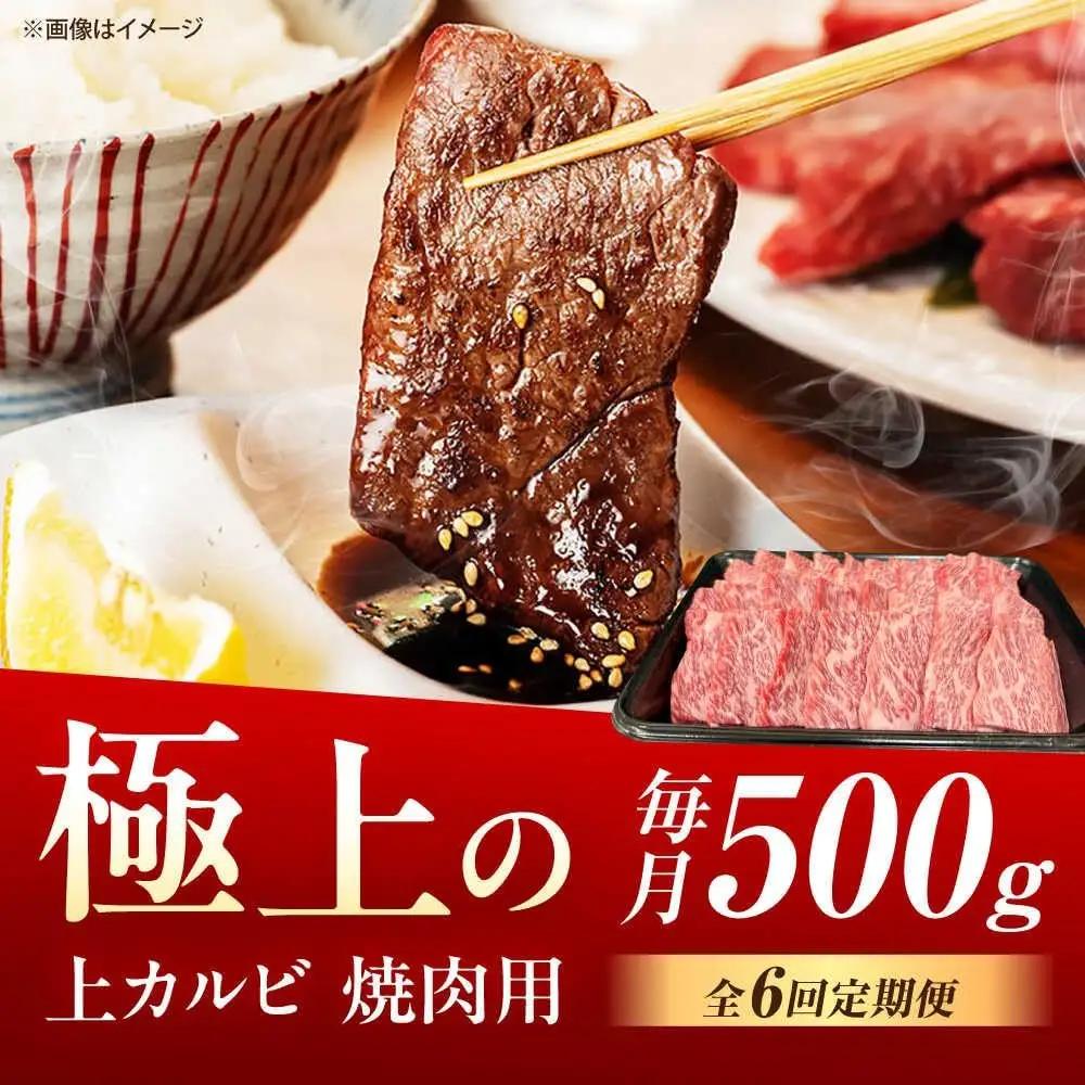 【6回定期便】佐賀牛 上カルビ 焼肉用 500g /MKミート武雄[UEM051] カルビ