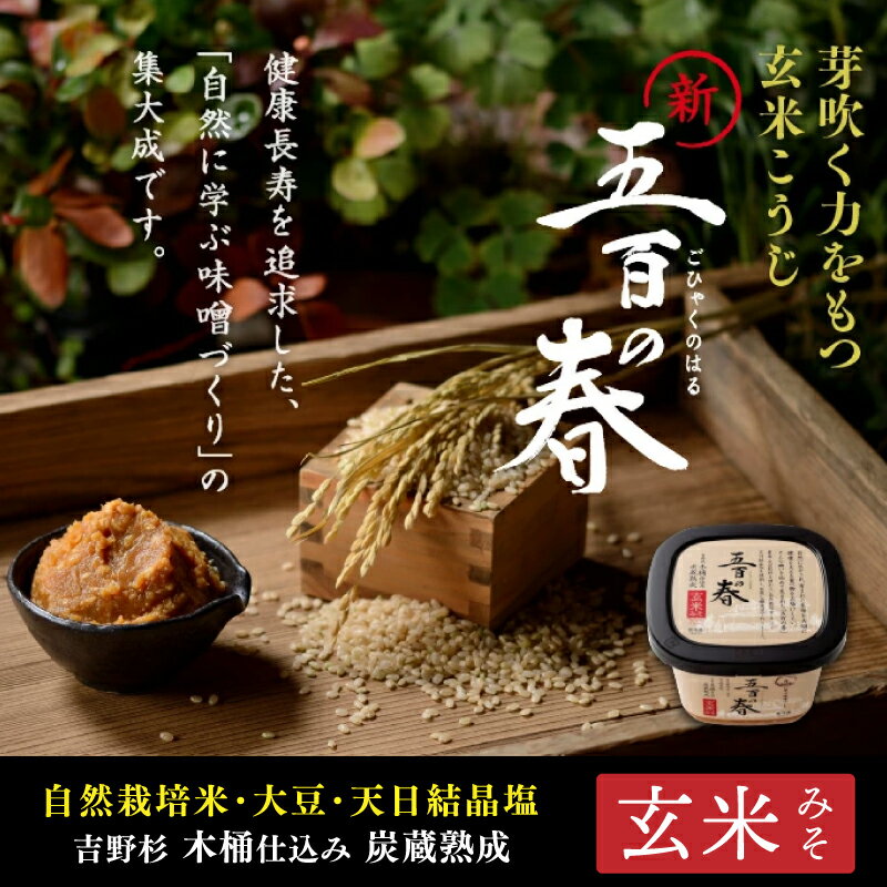 【ふるさと納税】味噌 みそ 味噌汁 玄米味噌 まるみ麹本店 五百の春 調味料 自然栽培 総社 そうじゃ