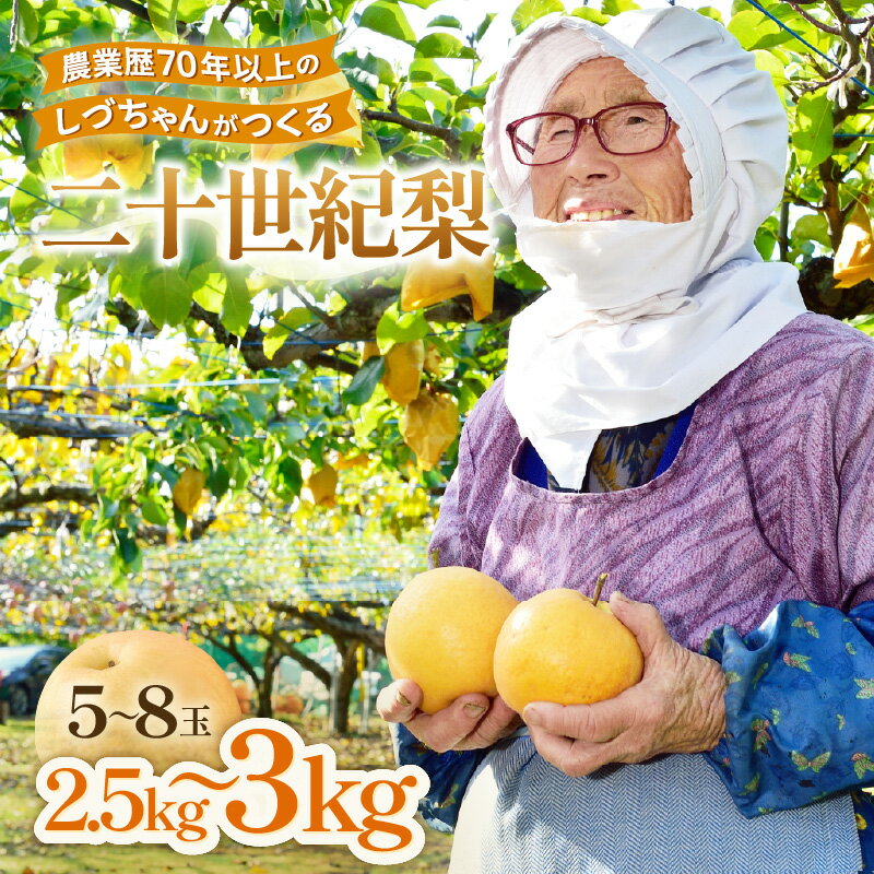 【ふるさと納税】【先行予約】しづちゃんが作る 二十世紀梨 5～8玉入（2.5～3kg）農業歴70年以上！ / なし 果物 旬 フルーツ 甘い ジューシー 果汁 くだもの シャキシャキ 人気 完熟 もぎたて みずみずしい 越前梨 送料無料 福井 あわら市 ※2026年9月中旬以降順次発送予定