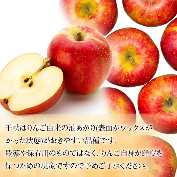 完熟りんご【千秋】約5kg