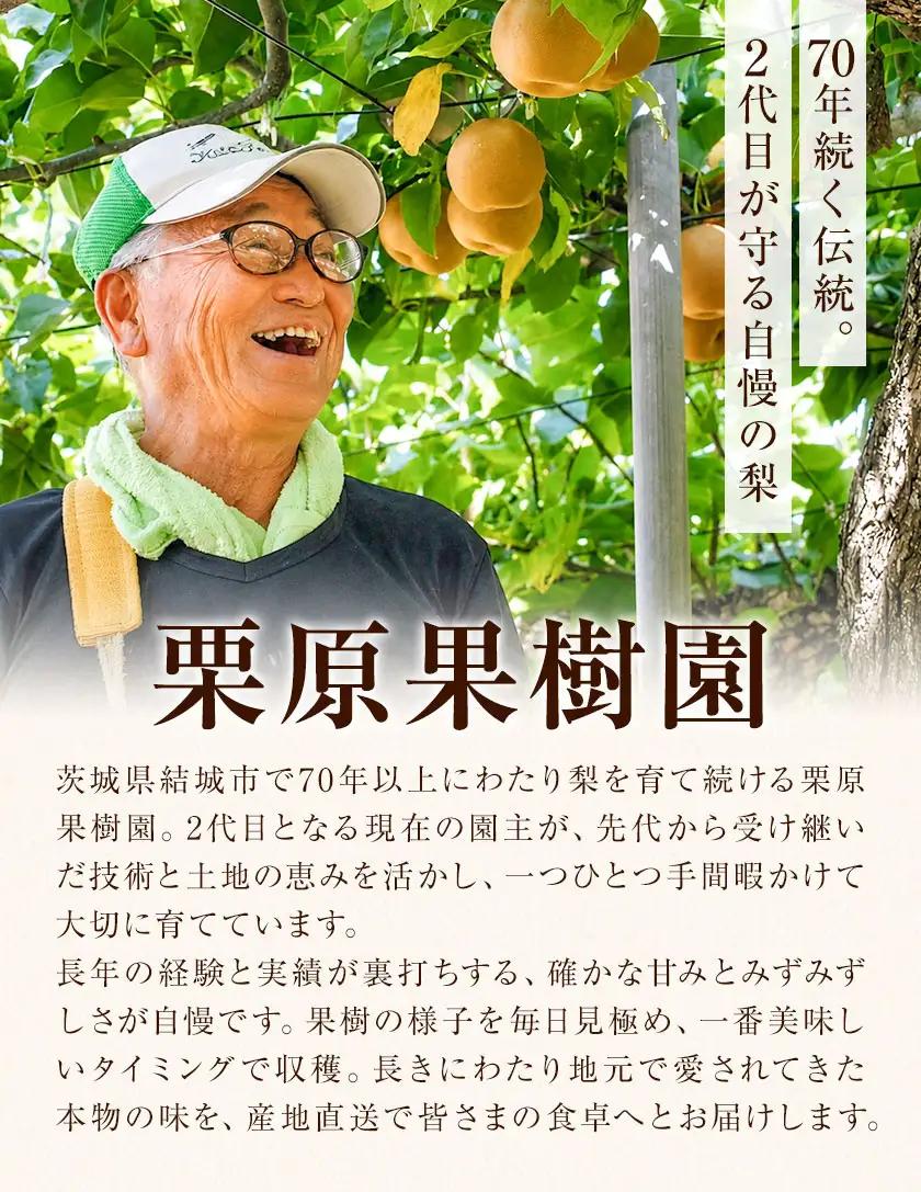 【先行予約】栗原果樹園梨5kg幸水《8月上旬-8月下旬頃出荷予定》茨城県結城市梨【配送不可地域あり】(離島)