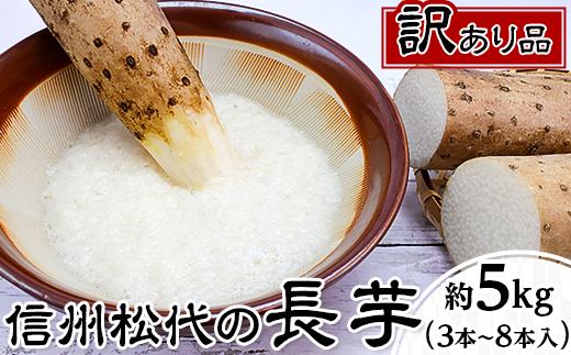 
            松代産長芋約5kg【地域の生産者応援の品(訳あり品)】J0688
          