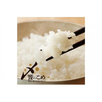 ふるさと納税 宝達志水町 米 令和7年 石川米こしひかり【穂立】30kg(10kg×3袋) [中橋商事 38601200] |  | 03