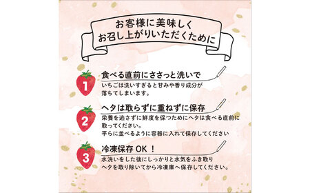 【全2回定期便】【2026年3月初旬より順次発送】 あまおう いちご 1620g (約270g×6パック) 吉富町/株式会社HSP-テクノ[BGBQ004]