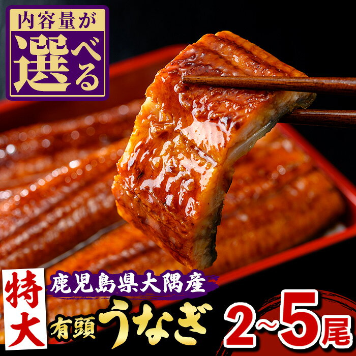 【ふるさと納税】＜容量が選べる！＞特大 うなぎ蒲焼 (有頭) ( 2尾 〜 5尾 )(タレ・山椒付) 鹿児島 国産 九州産 大隅産 鰻 うなぎ ウナギ 蒲焼き うな重 うな丼 ひつまぶし 丑の日 土用の丑の日 化粧箱 贈答 【一般社団法人きもつき宇宙協議会】
