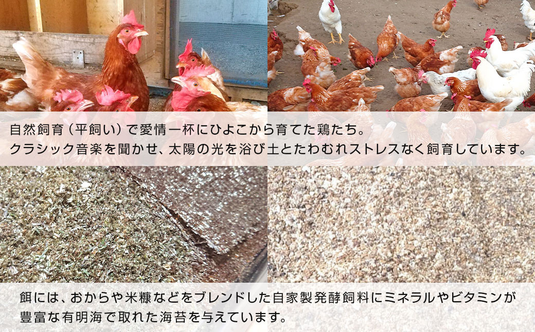 【4回定期便】平飼い 新鮮 たまご 元気玉 卵 計80個 (10個×2パック)×4回