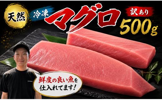 訳あり マグロ 天然 まぐろ 500g マグロ刺身 マグロ たたき マグロ丼 鮪 マグロ漬け丼の具 冷凍 鮪 ネギトロ丼 マグロ まぐろ ブロック 赤身 天然 スライス刺し身 さしみ 魚介 海鮮 海鮮丼 おかず 惣菜 訳あり 冷凍 規格外 お取り寄せ 冷凍 高知県 安芸市 おいしい 簡単 時短 海の幸 生鮮