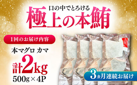 【全3回定期便】対馬産 本マグロ カマ 2kg ≪対馬市≫【桐谷商店】 トロの華 対馬 新鮮 マグロ かま 鮪[WAQ104]
