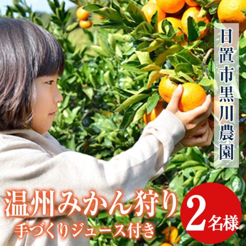 No.1251 ＜先行予約受付中＞温州みかん狩り(2名分)＆人気のジュース付き(2本) 不知火 みかん狩り 体験 果物 果実 フルーツ 柑橘 みかん ジュース ミカンジュース 期間限定 【黒川農園】