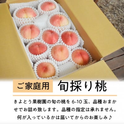 【きよとうファーム】旬採り桃 ご家庭用 6-10玉(岡山県産)【配送不可地域：離島】
