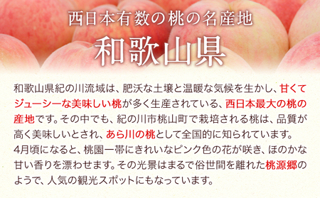 あら川の桃ジュース 「桃とろり」 八旗農園  和歌山