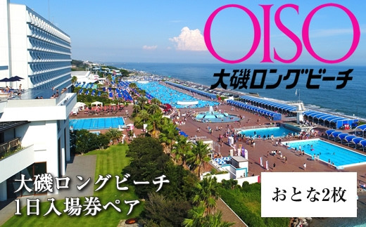 159-2015-54　大磯ロングビーチ　1日入場券ペア（おとな2枚）【 プール レジャー 神奈川県 大磯町 施設利用券 大人2人分 1日無料券 期間内サービス 券 施設無料券 ペア招待券 お得セット ビーチ 夏レジャー ペアギフト券 施設入場券 】