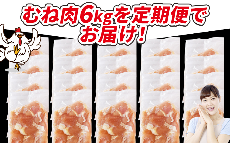 ＜宮崎県産若鶏切身 むね肉 6kg（300g×20袋）3か月定期便＞ 3か月以内に初回発送 【 からあげ 唐揚げ カレー シチュー BBQ 煮物 チキン南蛮 小分け おかず おつまみ お弁当 惣菜 時