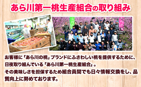 【先行予約】あら川の桃約2kg(6-8玉) あら川第一桃生産組合《2026年6月下旬から8月下旬頃出荷》｜桃 もも モモ フルーツ 果物 白鳳 清水白桃 川中島白桃  和歌山県産の桃 紀の川市の桃 和