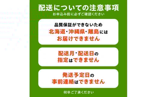 【ふるさと納税】 締め切り間近 ＮＥＷピオーネぶどう 約1.1ｋｇ さぬき讃フルーツ 甘さとジューシーさが詰まった最高級ピオーネ！ 大粒で食べごたえ抜群！ピオーネぶどう 風味豊かで甘い、完熟ピオーネ 