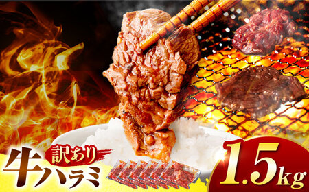 【訳あり×大容量】ハラミ 1.5kg(250g×6）[AVBO009]味付けハラミ