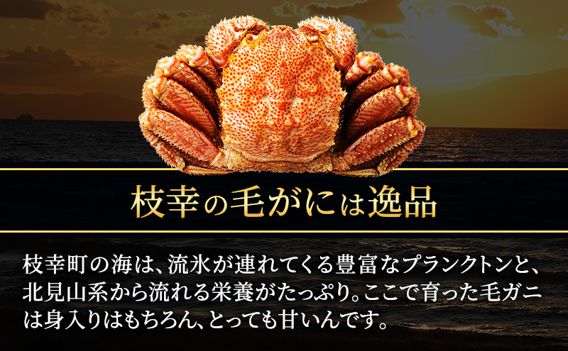 【無地のし】オホーツク枝幸 冷凍ボイル毛ガニ 660g前後×2