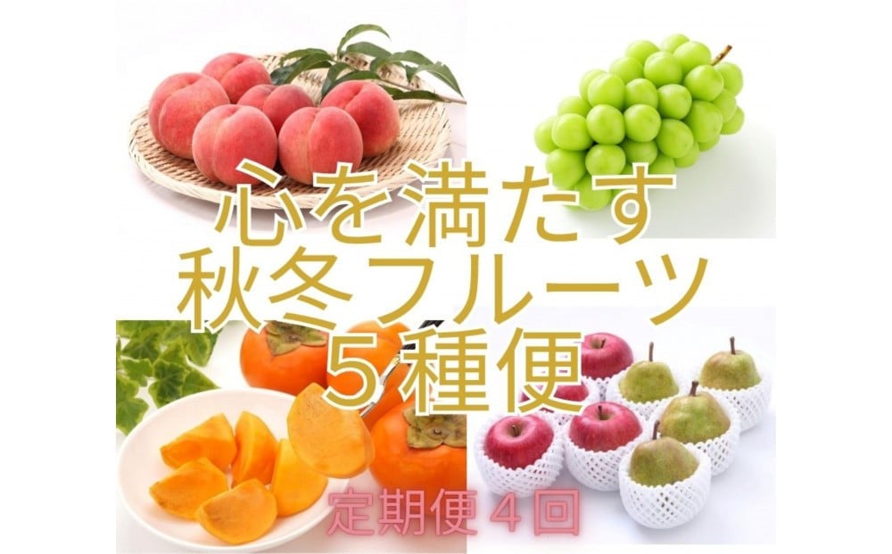
            2026年度発送【定期便４回 】心を満たす秋冬フルーツ５種便
          