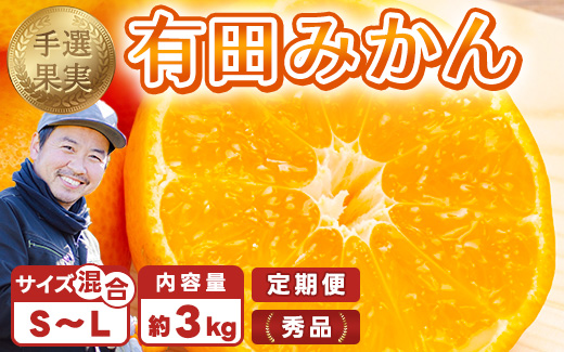 【まごころ手選別】【3ヶ月定期便】有田みかん 秀品 約3kg（S～Lサイズ混合）※2025年11月上旬頃から1カ月に1回（計3回）発送