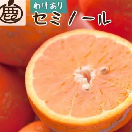 家庭用 セミノールオレンジ1kg+250g(傷み補償分)【春みかん】【訳あり】【光センサー選果】【配送不可地域：離島・北海道・沖縄県】【1651254】