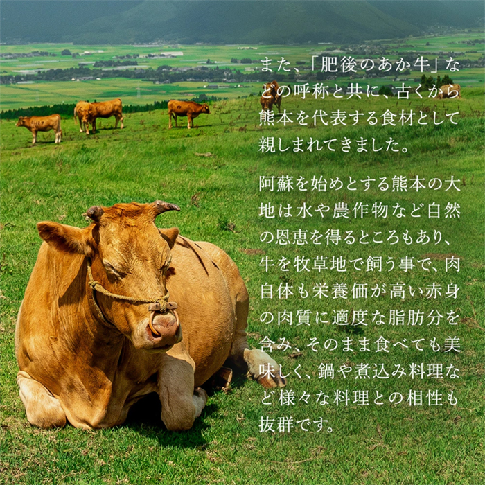 【桜屋】GI 地理的表示 認定ブランド牛 国産 熊本県産 くまもとあか牛 褐毛和種 あかげわしゅ ブランド牛 熊本県認定 和牛 あか牛 すき焼き しゃぶしゃぶ 鍋 500g 希少 阿蘇 小国町 小国郷