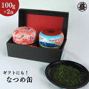 【ふるさと納税】特選　深蒸し新茶《特上煎茶》なつめ缶ギフト（100g×2缶）　【お茶・緑茶・深蒸し新茶・茶】　お届け：2024年5月初旬～2025年4月下旬