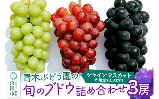 
										
										青木ぶどう園の旬のブドウ詰め合わせ 3房
									