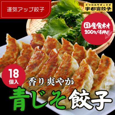 ふるさと納税 宇都宮市 宇都宮餃子 運気アップ餃子青じそ鶏餃子18個　保存料不使用