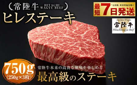 【常陸牛】ヒレステーキ 250g×3枚 合計750g アウトドア お肉 肉 牛肉 和牛 黒毛和牛 フィレ フィレ肉 ヒレ ヒレ肉 牛ヒレ ステーキ ヒレステーキ ステーキカット ブランド 特選 A5 常陸牛 お取り寄せ 冷凍 茨城県 守谷市