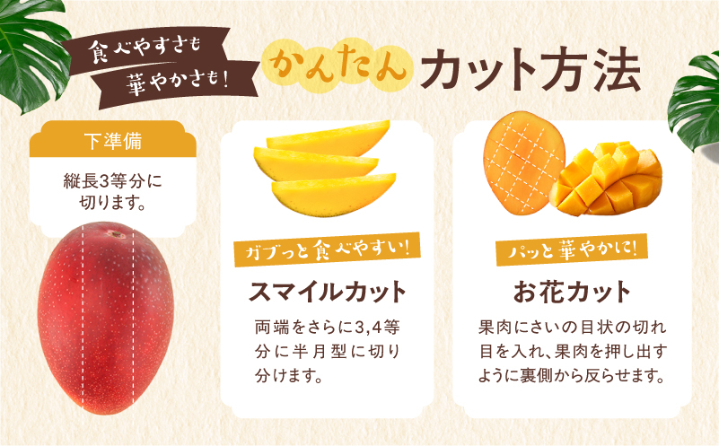 完熟マンゴー2L×2玉（パック）【JA綾町】_A0114-1021