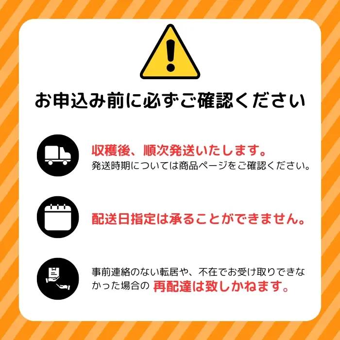 【2026年8月下旬発送】ぴっぷメロン「甘雫（あましずく）」 2玉 約3kg【菅原農産】メロン めろん 果物 くだもの フルーツ 赤肉 旬 お取り寄せ 北海道 比布町 ぴっぷ 1007-001