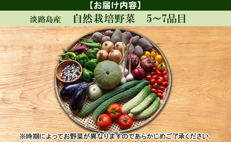 淡路島 自然栽培 野菜 風土ベジ セット 5～7品目 旬の野菜 季節の野菜 兵庫県 洲本市