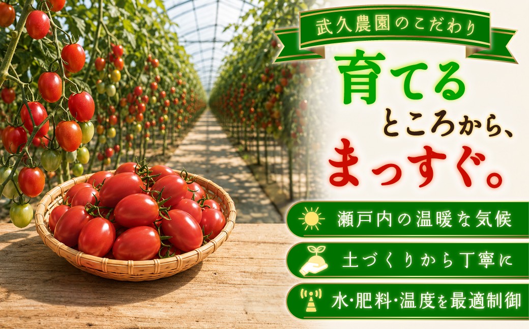 武久農園 アイコトマト だけ そのまま トマトジュース 900ml 1本 無添加 無着色 水・塩・砂糖不使用 野菜汁 100％