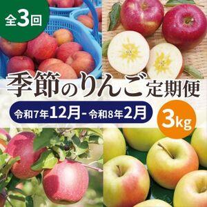 【発送月固定定期便】【25年12月～26年2月】青森りんご 訳あり 品種おまかせ 3kg全3回【配送不可地域：離島・沖縄県】【4066848】