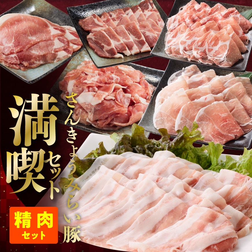 【令和7年8月発送】さんきょうみらい豚満喫セット(精肉セット)　豚肉[E0102br708]
