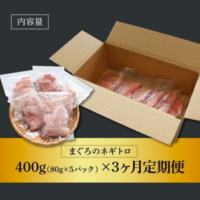 ふるさと納税 田野町 〜四国一小さなまち〜≪カネアリ水産≫まぐろのネギトロ 400g(80g×5パック)★3ヶ月定期便★ |  | 03