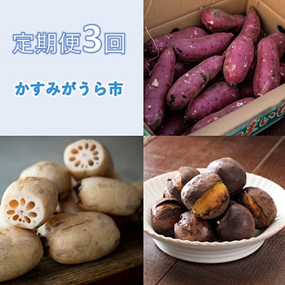 2023年10月発送開始『定期便』茨城県 特産品3種 全3回【配送不可地域：離島・沖縄】【5167222】