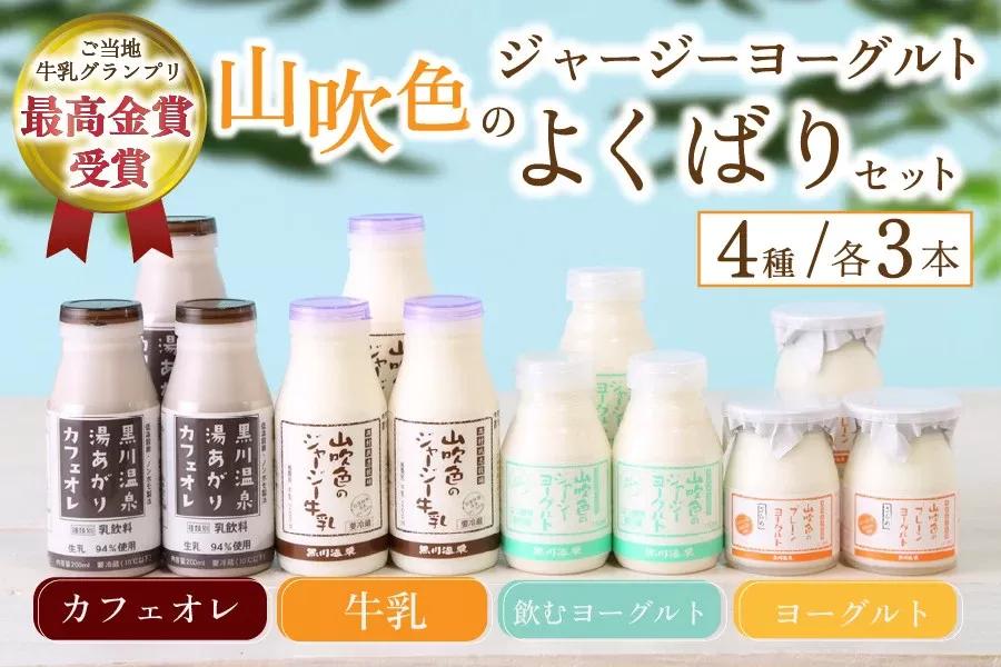 黒川温泉発 山吹色のジャージーヨーグルト よくばりセット【FOODEX JAPAN 最高金賞】 4種 ジャージー牛乳 飲むヨーグルト 牛乳 カフェオレ ヨーグルト プレーンヨーグルト 詰め合わせ アソート セット 乳製品 飲料 健康 腸活 免疫力アップ 乳酸菌 ご当地牛乳グランプリ 最高金賞 ご当地 ギフト 贈答用 山のいぶき 熊本 阿蘇 南小国町 送料無料
