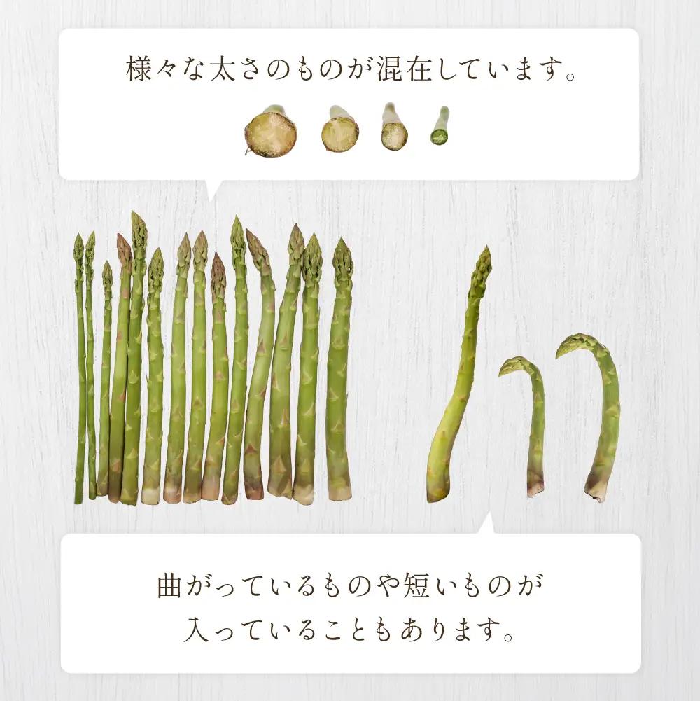 （2026年5月中旬以降から順次発送）訳ありアスパラガス 1.3kg 【期間限定】【119-7】