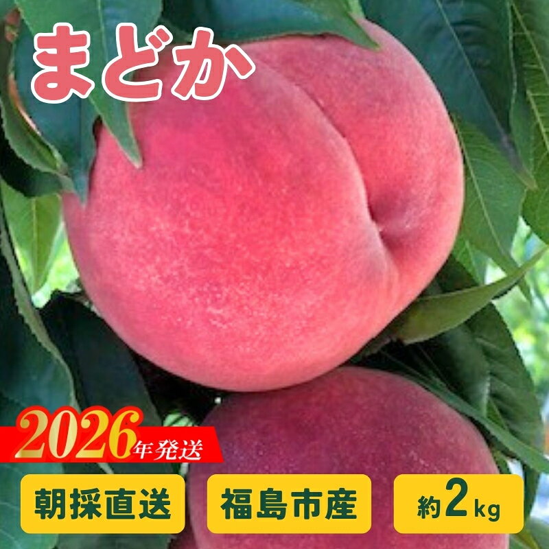 【ふるさと納税】No.2876 朝採り直送！福島の桃「まどか」約2kg 【2026年発送 先行予約】