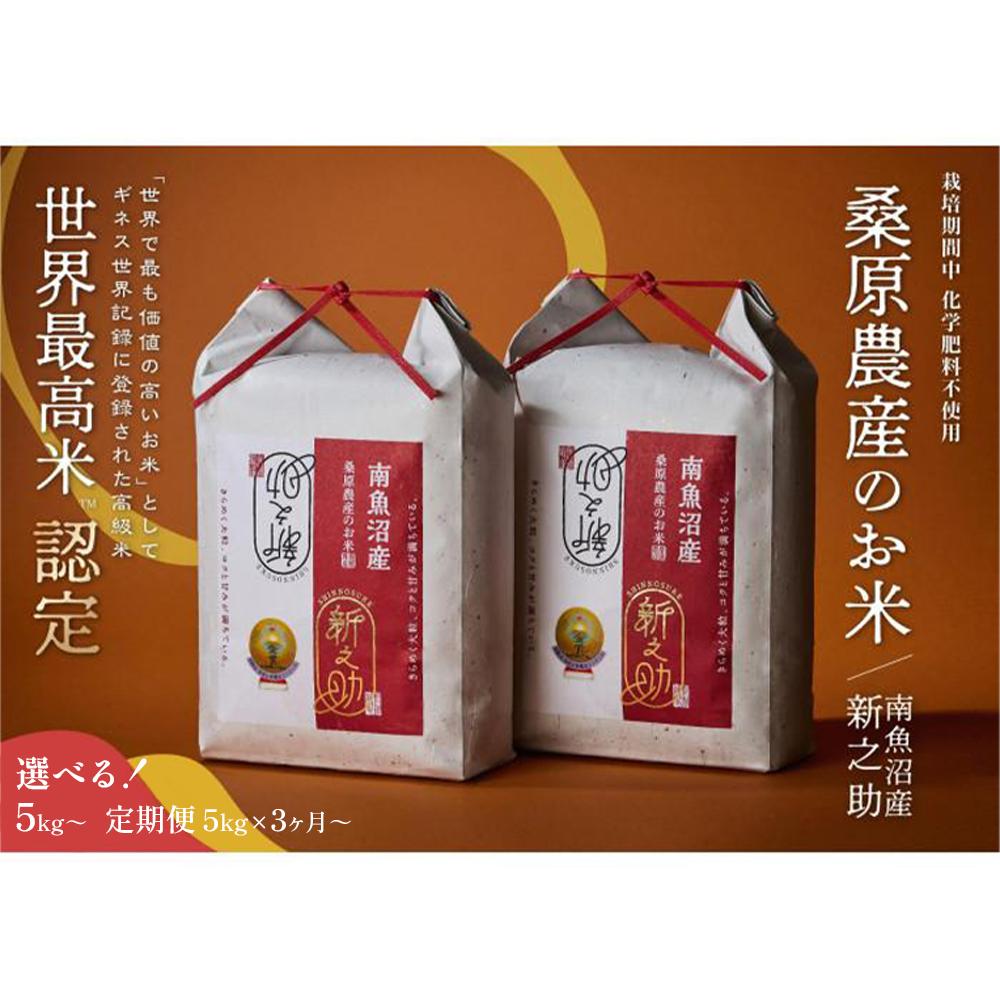 【ふるさと納税】【R7年産新米予約】桑原農産のお米　南魚沼産新之助　5kg／10kg／20kg／定期便(3・6・9・12ヶ月)から選べます※定期便品切れ中【2025年10月下旬より順次発送予定】 | お米 こめ 白米 新之助 食品 人気 おすすめ 送料無料 南魚沼