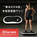 スキマ時間に本格エクササイズ 振動マシン 3D Exa-wave（3Dエクサウェーブ） ダイエット 筋トレ