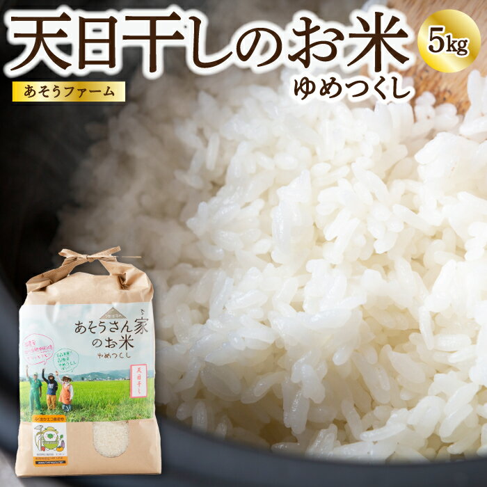 【ふるさと納税】【令和7年産】天日干しのお米 (ゆめつくし) 白米 5kg お米 米 コメ こめ 特別栽培米 エコ農産物認証 おにぎり 送料無料 福岡県 うきは市