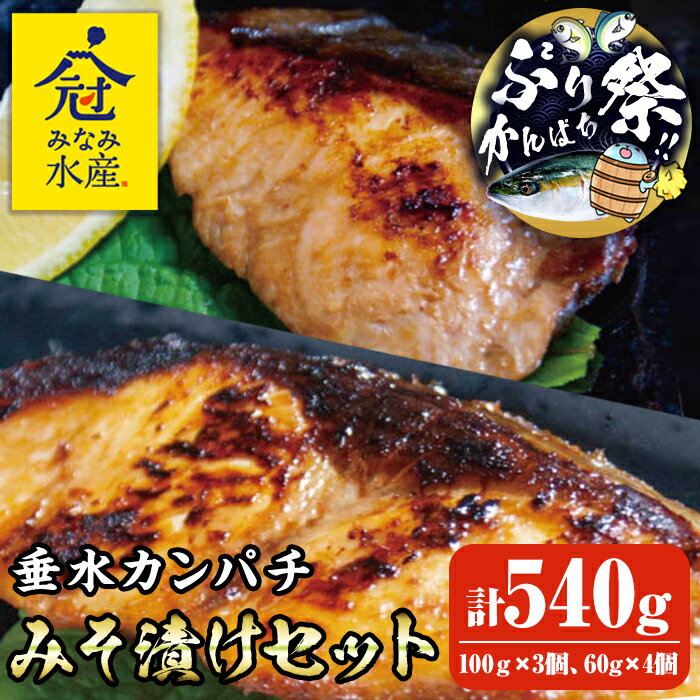 【ふるさと納税】【期間限定！ぶりカンパチ祭り！】＜父の日ギフト＞＜水産庁長官賞受賞＞カンパチみそ漬けセット(計540g・100g×3個、60g×4個)魚 かんぱち カンパチ 海鮮 魚介 みそ漬け 味噌漬け 惣菜 おかず おつまみ 冷凍 国産 鹿児島産 垂水市【みなみ水産】B2-2604