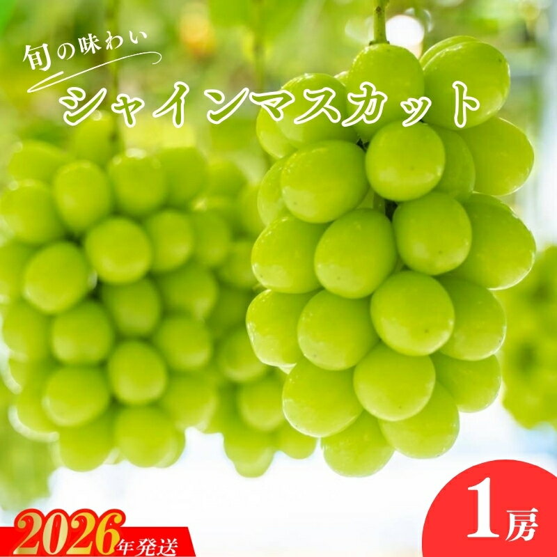 【ふるさと納税】No.2503くるま農園　シャインマスカット（1房）【2026年発送　先行予約】
