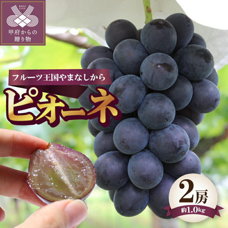 【ふるさと納税】 ピオーネ 2026年 先行予約 2房 約1.0kg 山梨県産 甲府市産 ぶどう フルーツ 果物 冷蔵 種なし 甘い 贈り物 お中元 贈答品 手土産 フルーツ王国山梨 数量限定 期間限定 2026年度配送分 k330-004