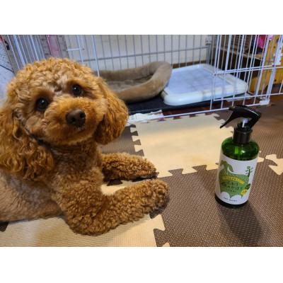 ふるさと納税 豊川市 三河産天然木の消臭剤「消臭木」犬消臭セット |  | 03