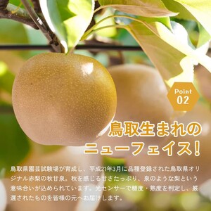 Y305 秋甘泉（秀） 5kg（3L）
