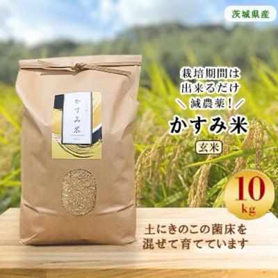 ふるさと納税 潮来市 【毎月定期便】栽培期間出来るだけ農薬を減らして作る「かすみ米」玄米10kg全12回