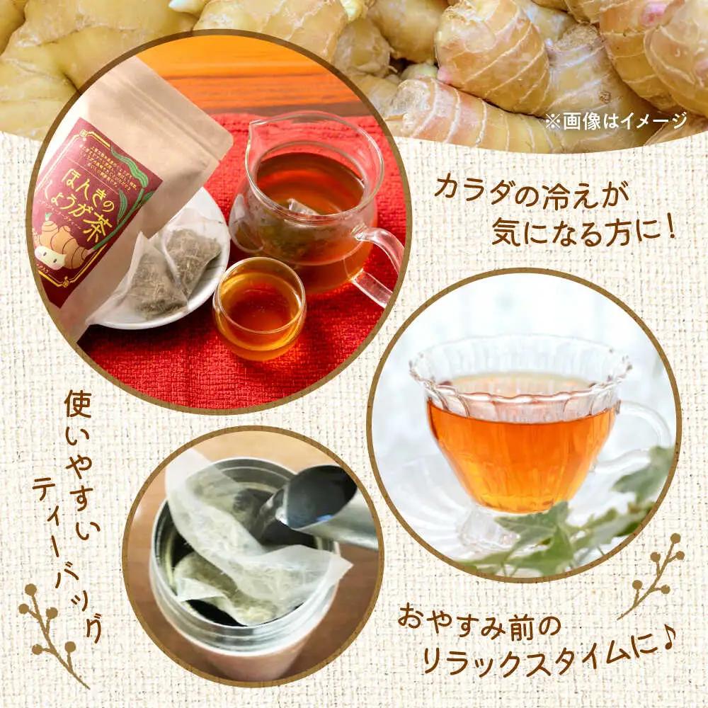 ほんきのしょうが茶 ５袋セットお茶[AYAD023]